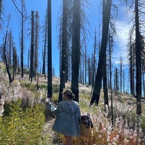 Meet your Posher, Lily